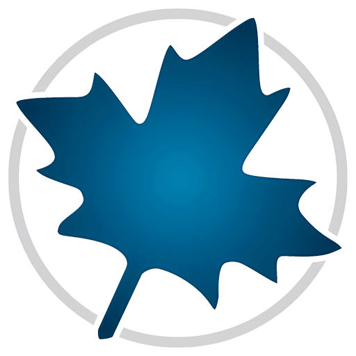Maple 必备的数学工具软件